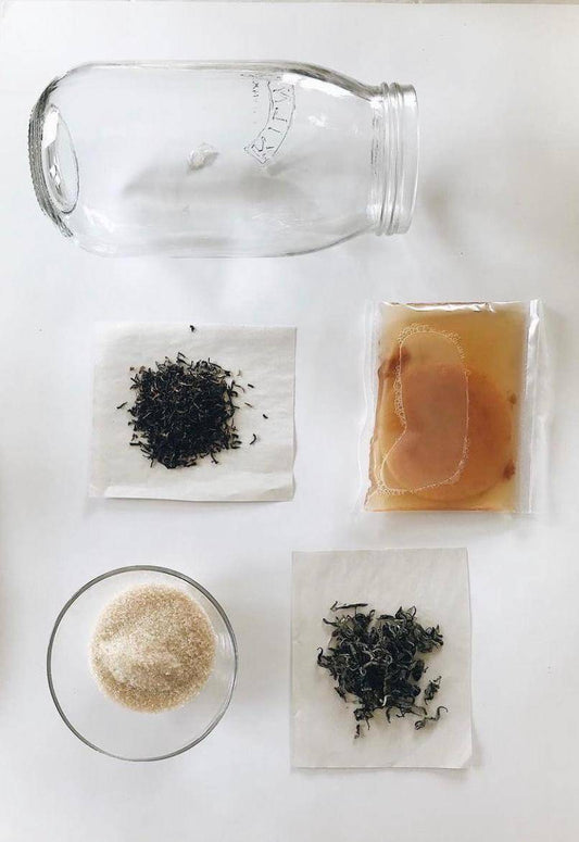 How to Make Kombucha | L.A Brewery