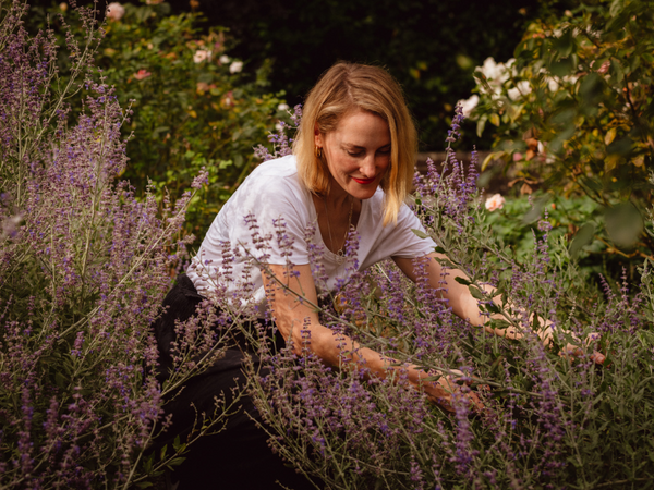 Nature's Apothecary: Following the Seasonal Foraging Calendar for Optimal Health