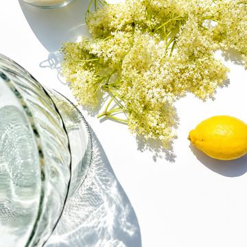 How to Make Elderflower Champagne at Home