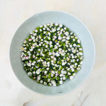 Natural Relief for Hay Fever: Home Remedies & Holistic Tips
